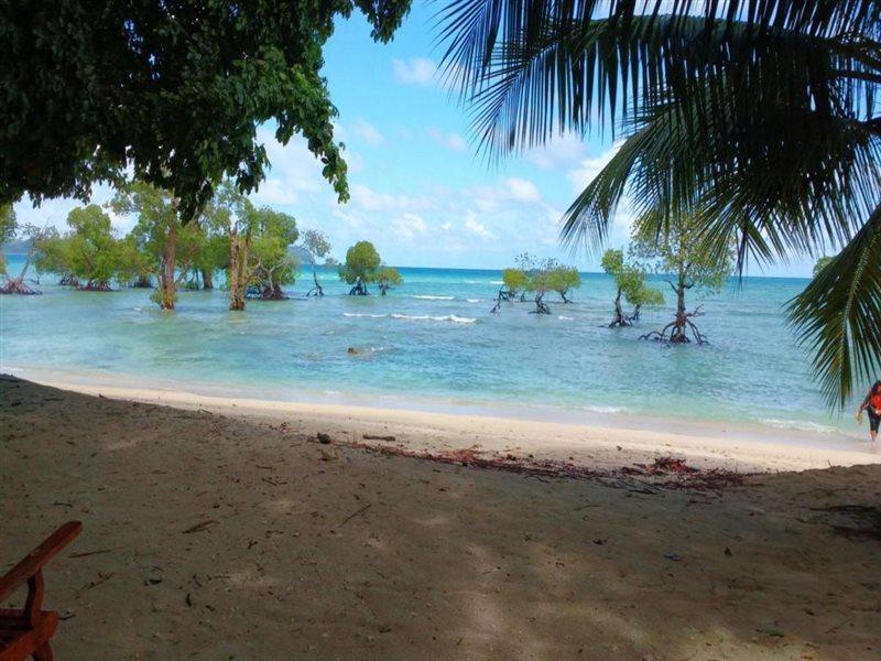 Coconhuts Beach Resort Lakshmanpur Eksteriør billede