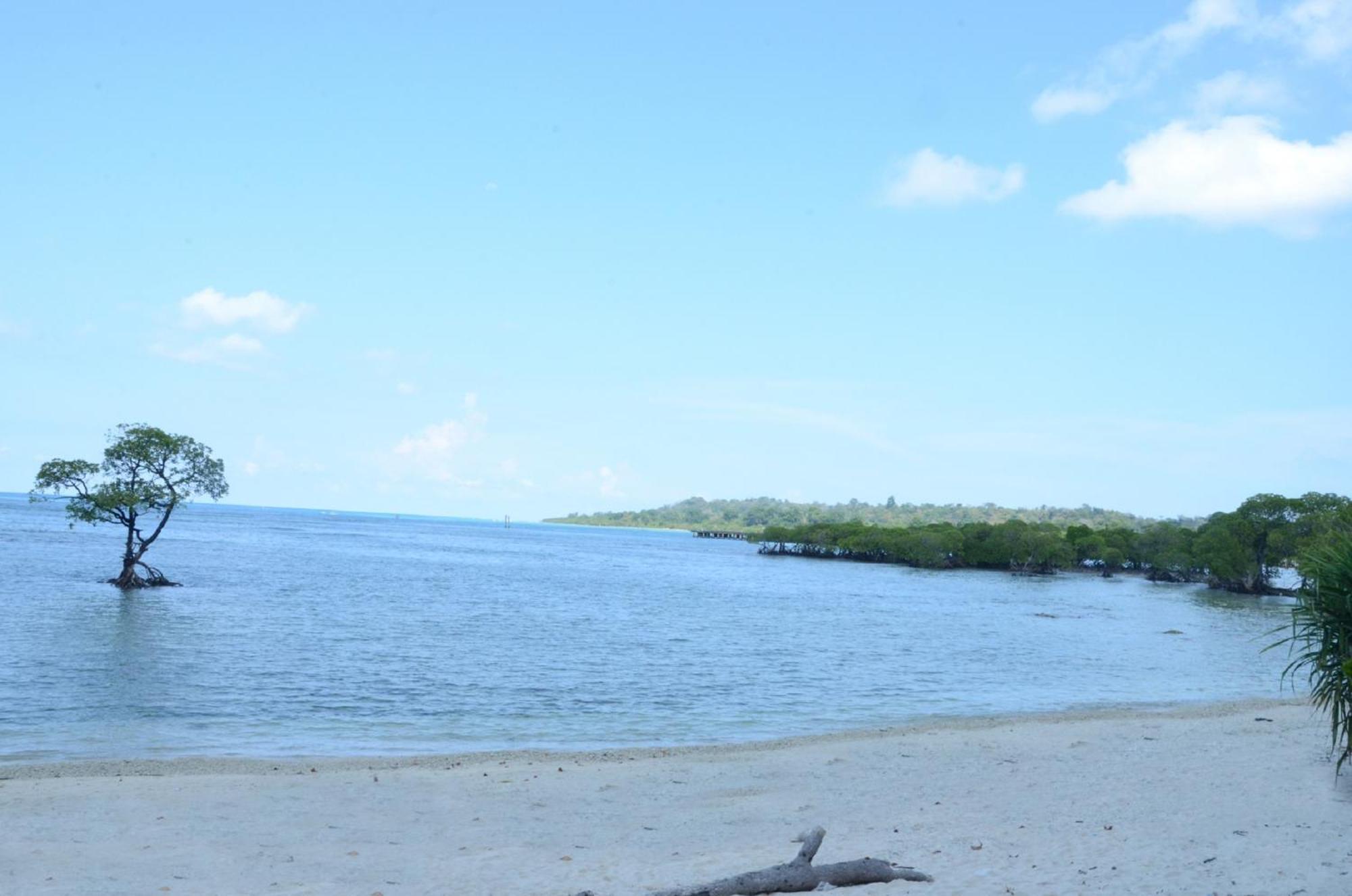 Coconhuts Beach Resort Lakshmanpur Eksteriør billede