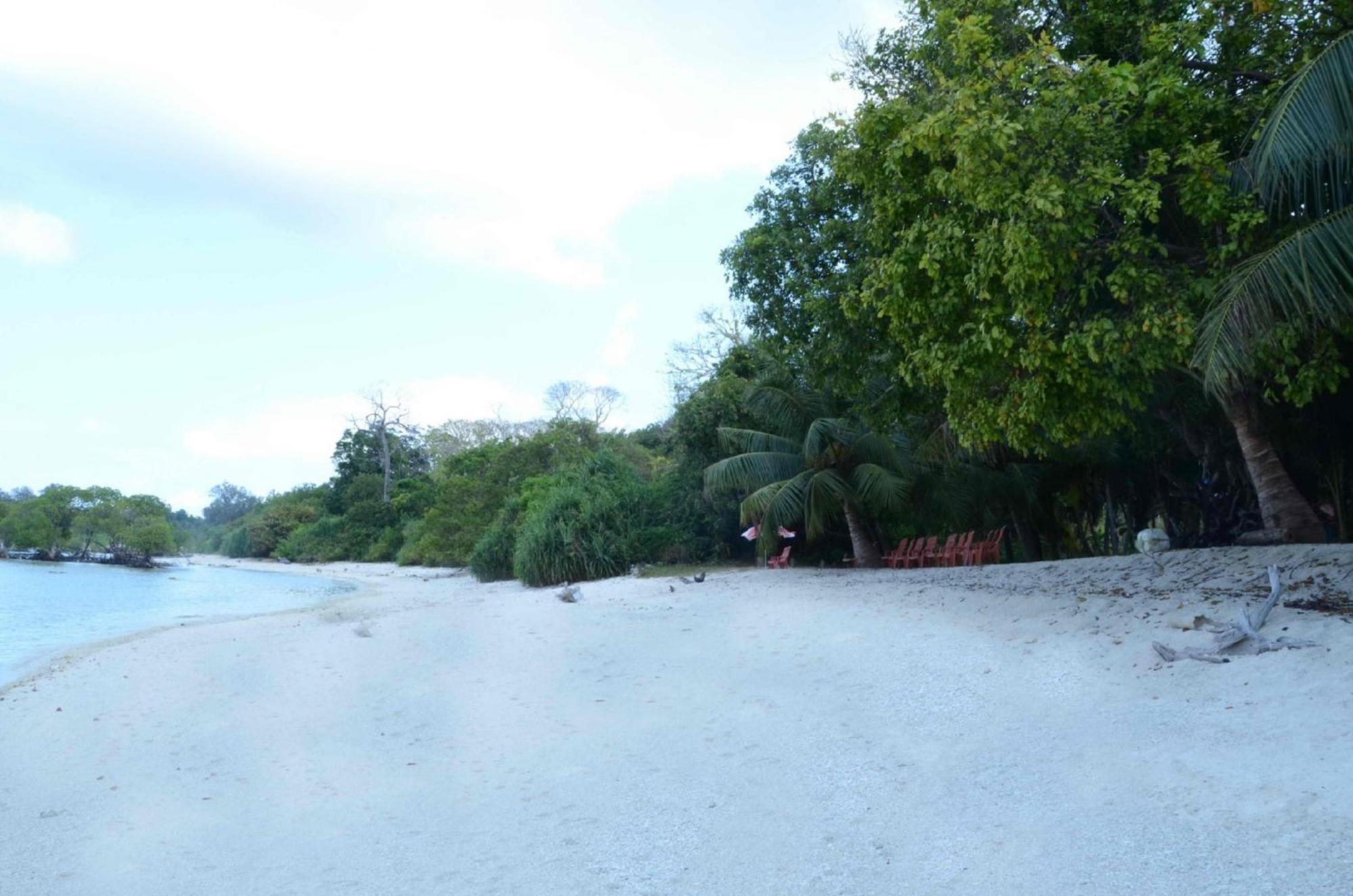 Coconhuts Beach Resort Lakshmanpur Eksteriør billede