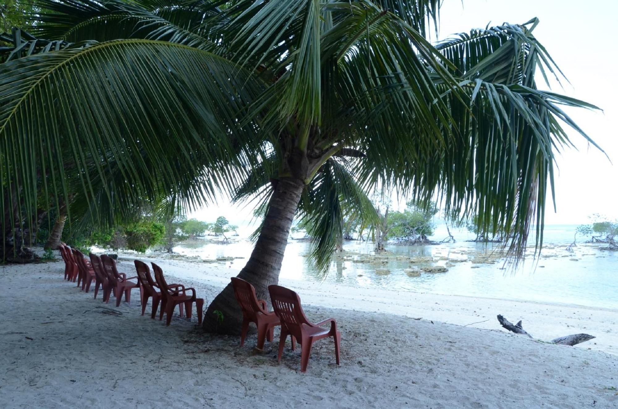 Coconhuts Beach Resort Lakshmanpur Eksteriør billede