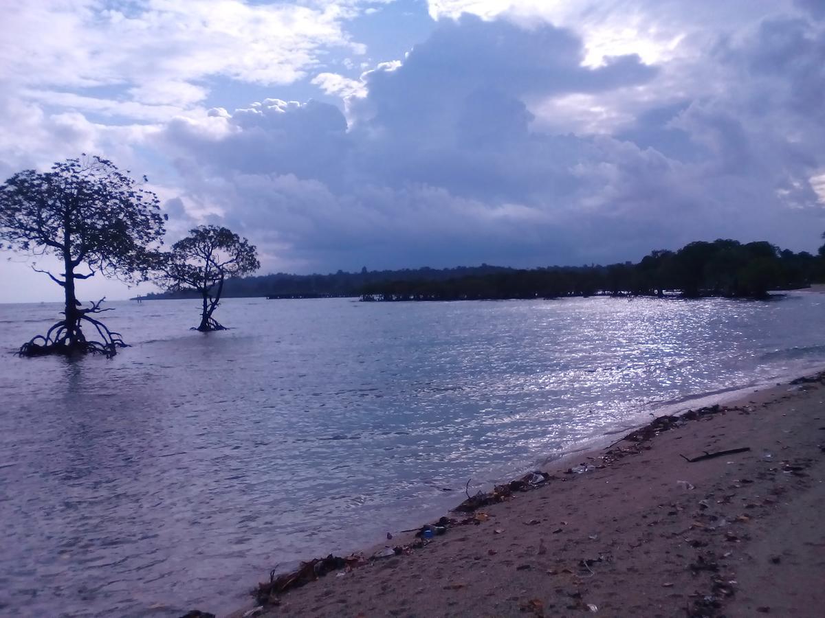 Coconhuts Beach Resort Lakshmanpur Eksteriør billede